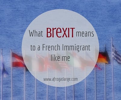 French immigrant view on brexit