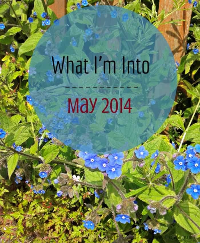 What I'm Into May 2014 blue flowers